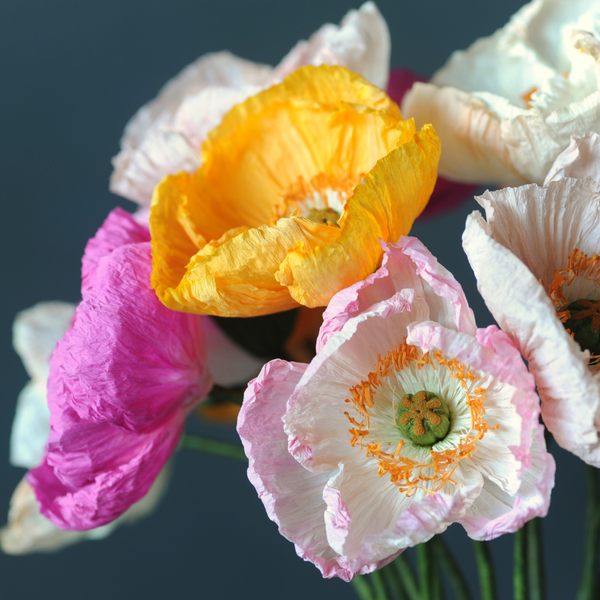 Crepe Paper Poppies - Paper Floristry Workshop-Workshop-Little Lane Workshops