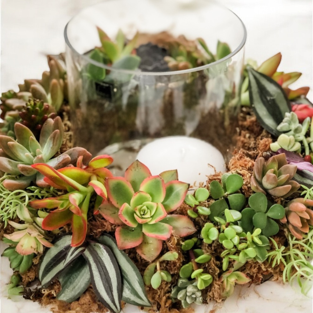 Christmas Succulent Tabletop Wreath Workshop-Workshop-Little Lane Workshops