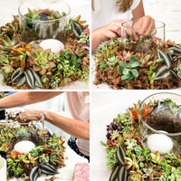 Christmas Succulent Tabletop Wreath Workshop-Workshop-Little Lane Workshops