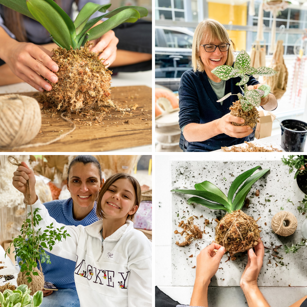 KOKEDAMA WORKSHOP-Workshop-Little Lane Workshops